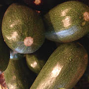 Courgette et Sport