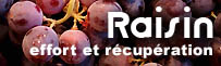 Le raisin aliment de l'effort et de la r�cup�ration