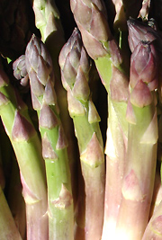 Asperge et Sport