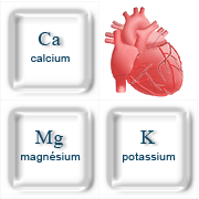 Calcium, Magnesium, Potassium et Coeur