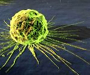 cancer et dopage