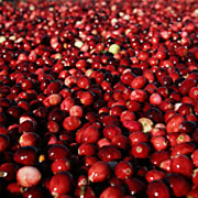 Cranberry et sport