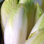 endive et sport