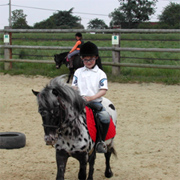 Equitation et m�decine du sport