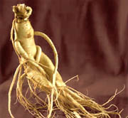 Ginseng et sport
