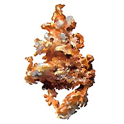 Cuprum Metallicum et sport