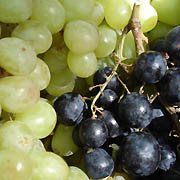 jus de raisin, boisson de l'effort