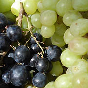 jus de raisin, boisson de r�cup�ration