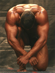 Gain de masse musculaire, apport en prot�ines : que penser des produits commercialis�s ?