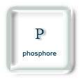 Phosphore