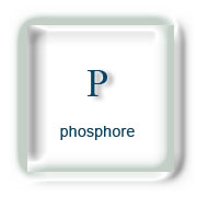 Phosphore et Sport