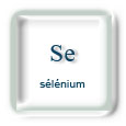 S�l�nium