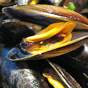 Moules et sport