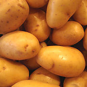 Pomme de Terre et Sport