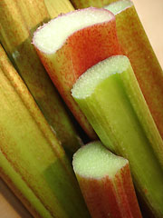 Rhubarbe et Sport