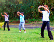 La pratique du tai-chi