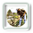 Le Jardinage