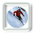 Le ski alpin, Skating, snowboard...