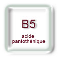 Vitamine B5