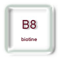 Vitamine B8