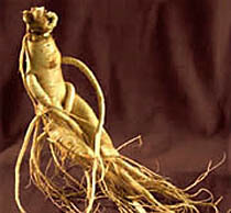 Le Ginseng