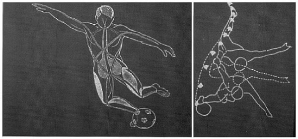 Pubalgie du sportif, symptômes, traitement puis rééducation