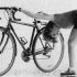 Mal de dos et cyclisme