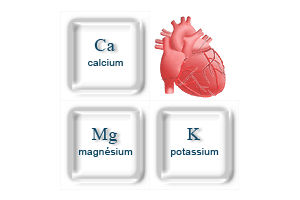 Les Minéraux amis de votre cœur
