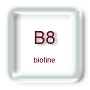 Vitamine B8 - biotine