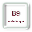 Vitamines B9 (folates, acide folique)