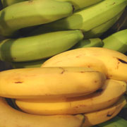 Fiche fruit : Banane