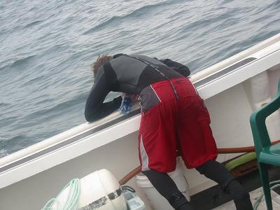 Le Mal De Mer Et Des Transports Irbms