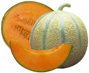 Le melon