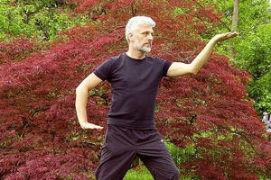 Mouvement de Tai-chi Mouvement de Tai-chi