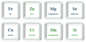 Les oligo-éléments