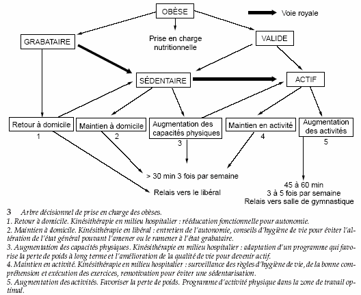 Graphique obésité