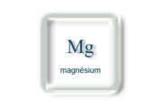 Magnésium et Sport