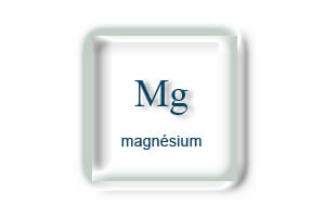 Magnésium et Sport