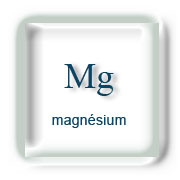 Minéraux : Magnésium / Mg