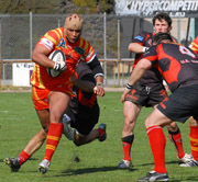 Les Accidents du Rugby