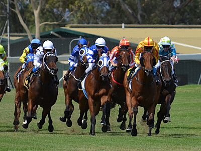 Bilan diététique individuel pour les jockeys