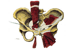 Pubalgies et rééducation après une chirurgie : quel programme ?