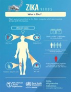 Virus Zika : symptômes