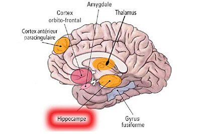 Oxygénation du cerveau