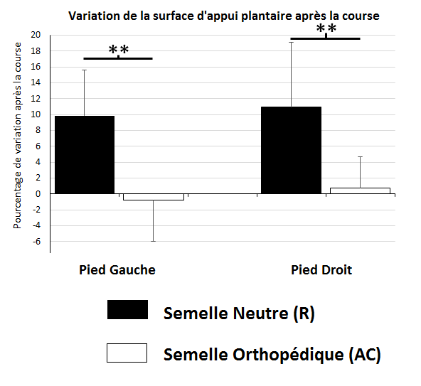 semelle2