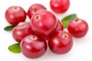 Cranberries ou canneberges
