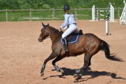 Équitation et condition physique