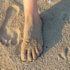 Morphologie du pied