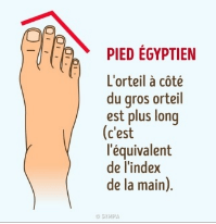 Pied égyptien