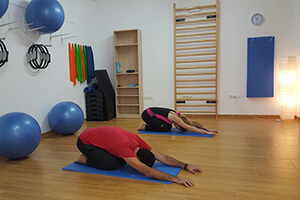 Pilates Ballon de Gymnastique, Exercice de Pilates, Ballon Balle Yoga pour  Fitness Pilates, Ballon dexercice, Ballon de Pila